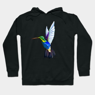 Colorful Colibri Hoodie